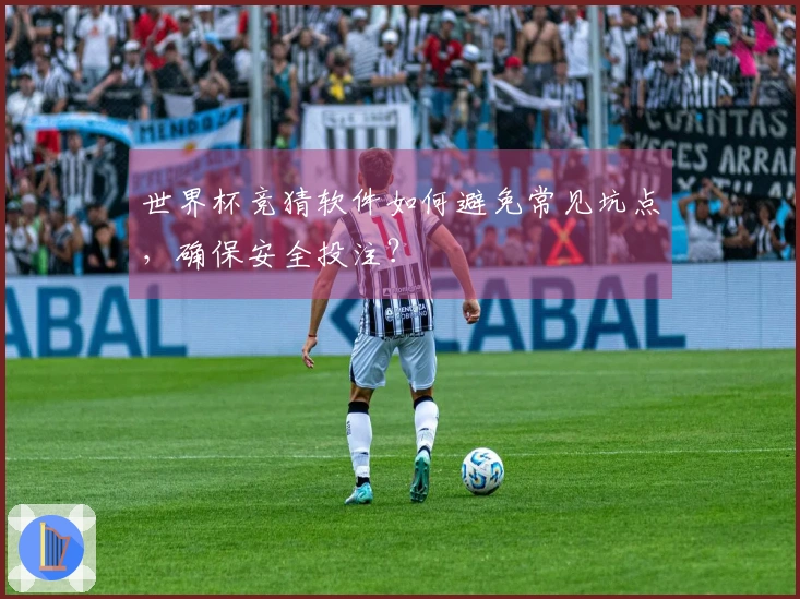 世界杯竞猜软件如何避免常见坑点，确保安全投注？