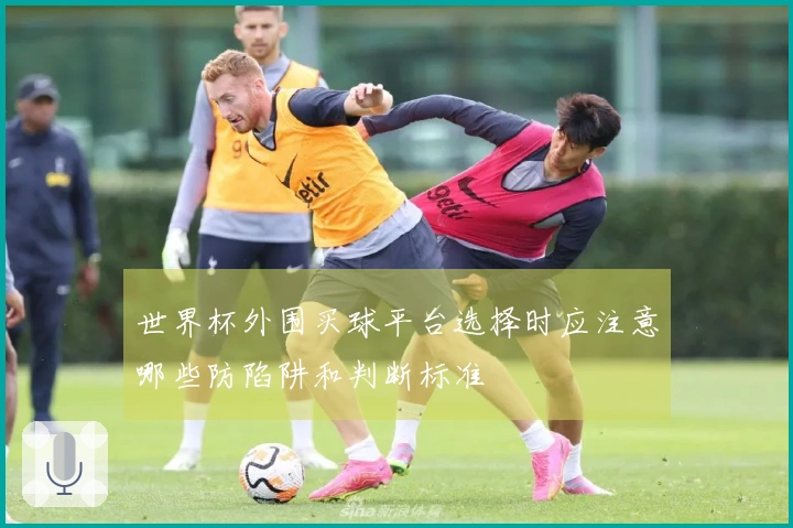 世界杯外围买球平台选择时应注意哪些防陷阱和判断标准