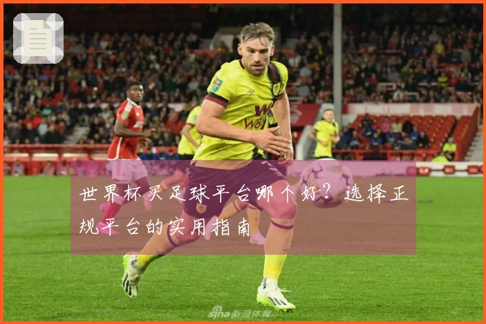 世界杯买足球平台哪个好？选择正规平台的实用指南