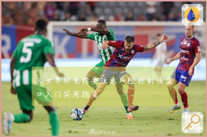 买世界杯竞猜要注意风险控制吗盘口入门实用指南